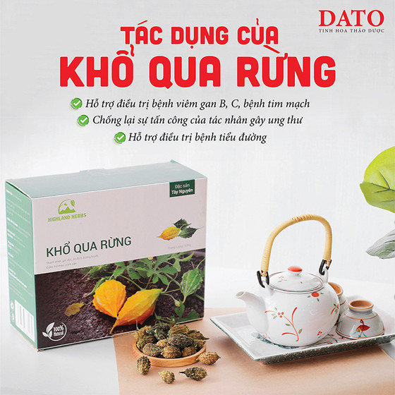Khổ qua rừng DATO