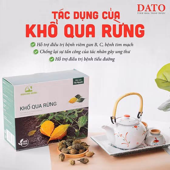 Khổ qua rừng DATO
