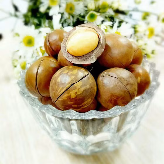 Macca sấy nứt vỏ lọ 