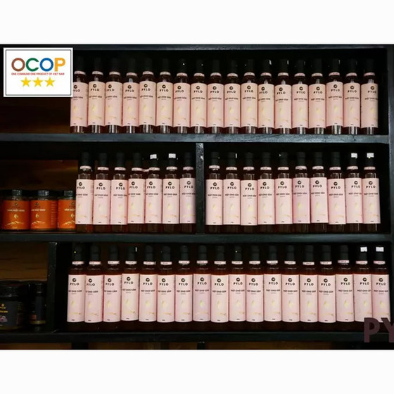 Mật ong sâm PyLo Queen