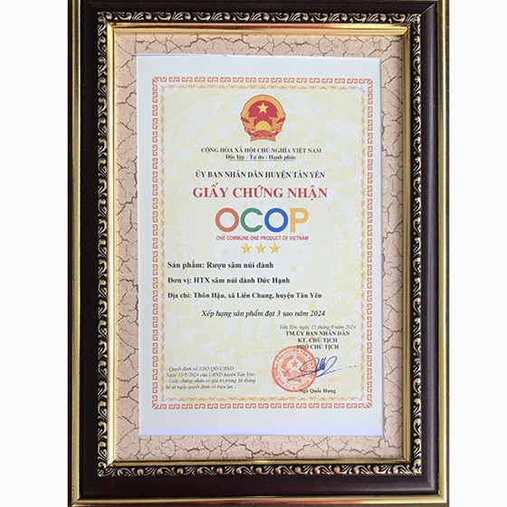 Rượu sâm núi Dành