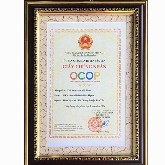 Trà hoa sâm núi Dành