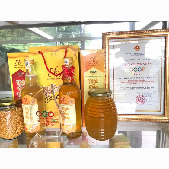 Mật ong nhãn Bình Ca