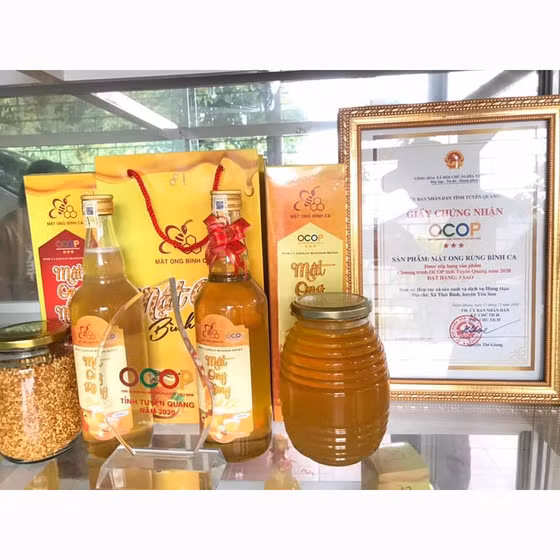 Mật ong nhãn Bình Ca