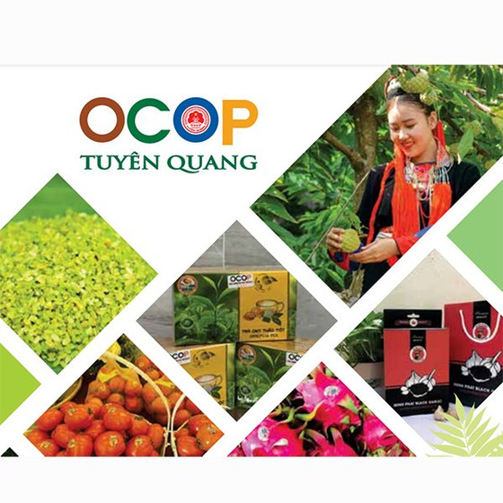 Tỏi đen Minh Phát