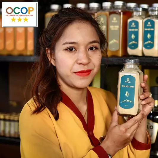Tinh bột sâm PyLo 