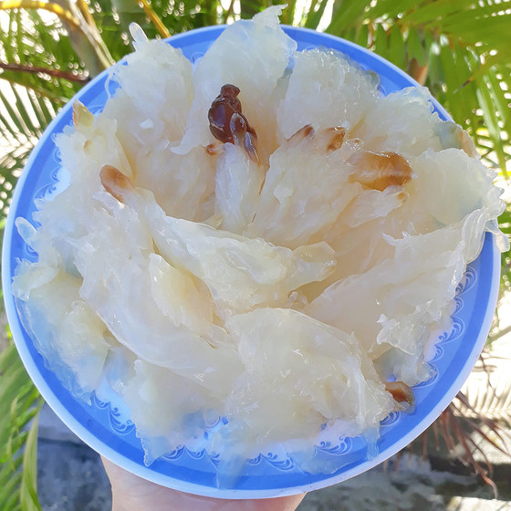 Sứa ép bãi ngang Thạch Hà