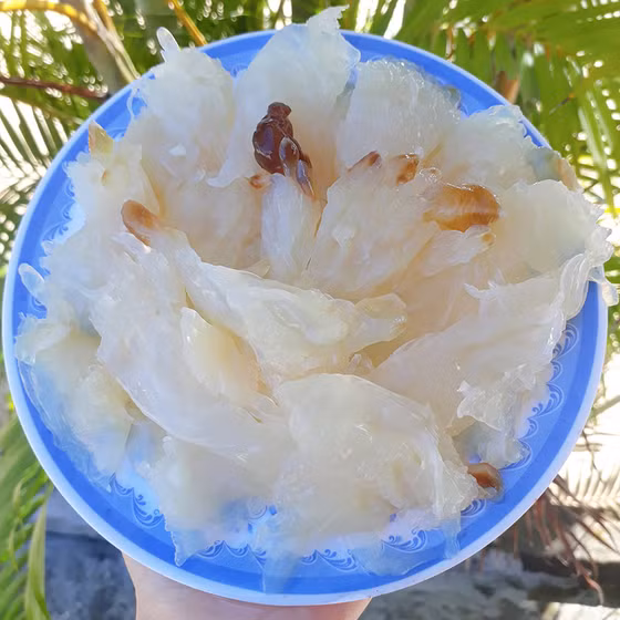 Sứa ép bãi ngang Thạch Hà