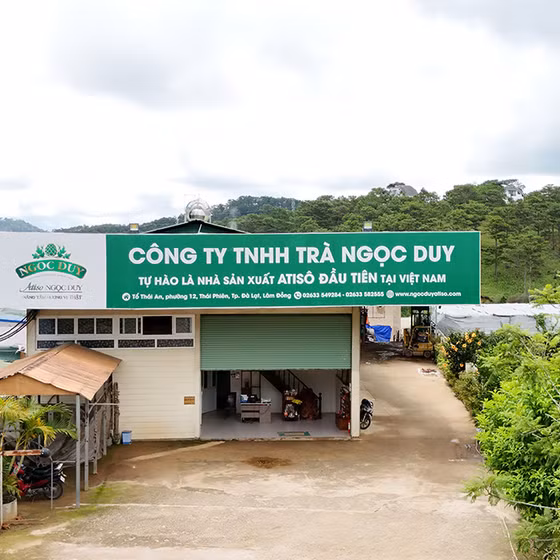 Cao nước atiso cỏ ngọt Ngọc Duy