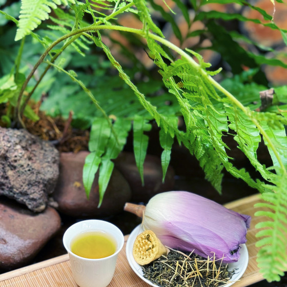 Trà hoa sen Phúc An farm