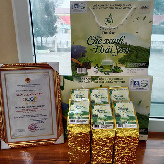 Chè xanh Thái Sơn