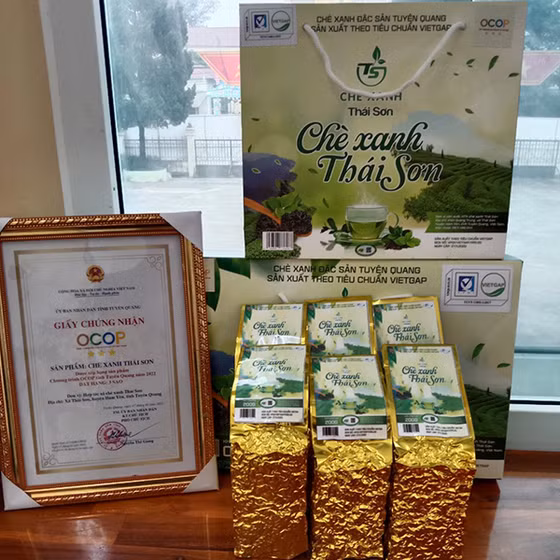 Chè xanh Thái Sơn