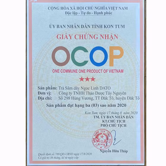 Trà sâm dây Ngọc Linh DATO