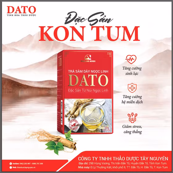 Trà sâm dây Ngọc Linh DATO