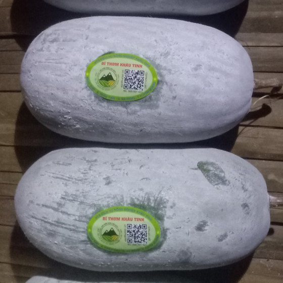 Bí thơm Khâu Tinh