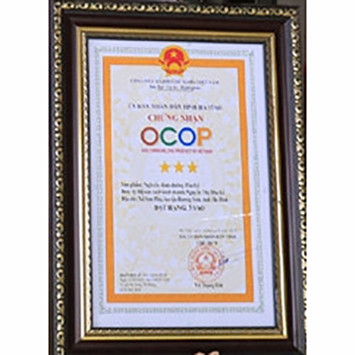 Ngũ cốc dinh dưỡng Thu Lê