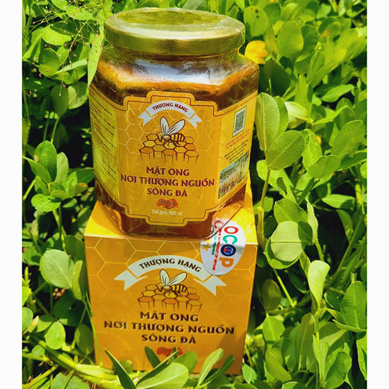 Mật ong nơi thượng nguồn sông Đà 