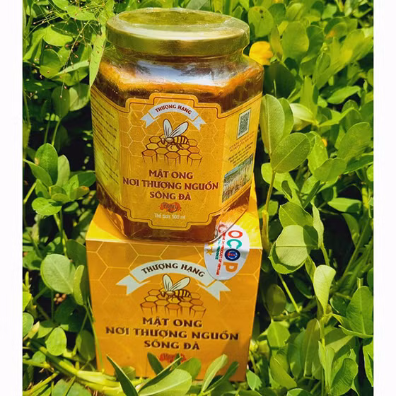 Mật ong nơi thượng nguồn sông Đà 