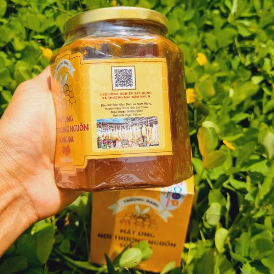 Mật ong nơi thượng nguồn sông Đà 