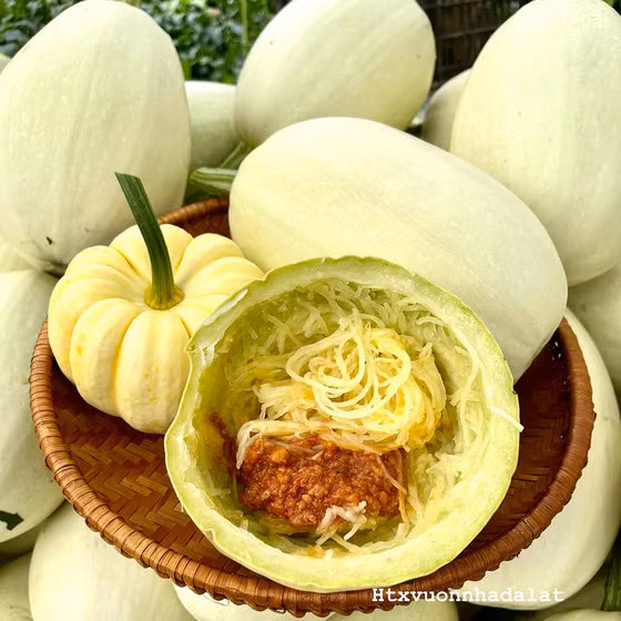 Bí sợi mỳ
