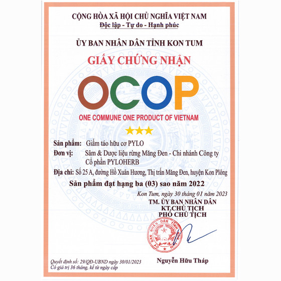 Giấm táo hữu cơ PyLo