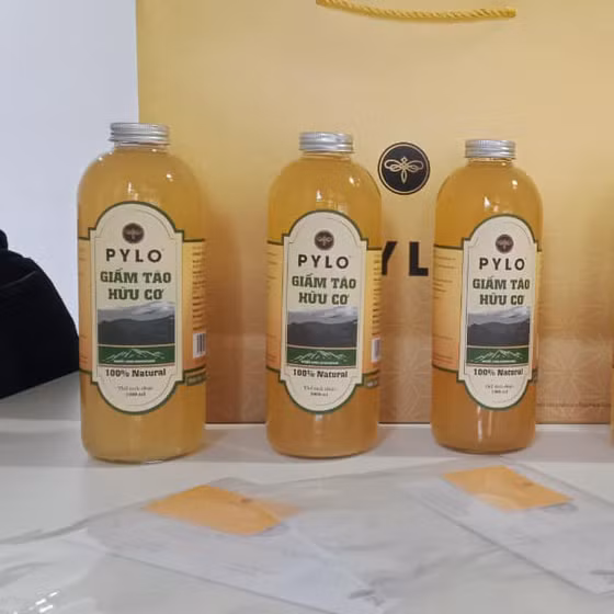 Giấm táo hữu cơ PyLo