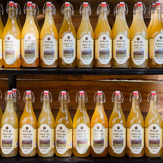 Giấm táo hữu cơ PyLo