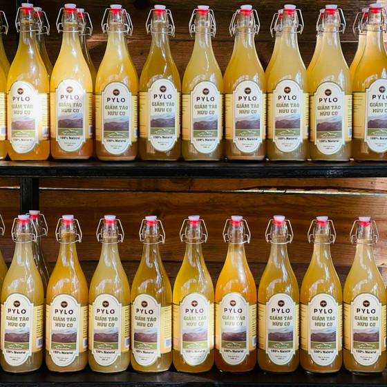 Giấm táo hữu cơ PyLo
