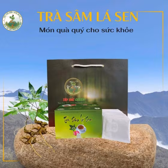 Trà sâm lá sen Lai Châu