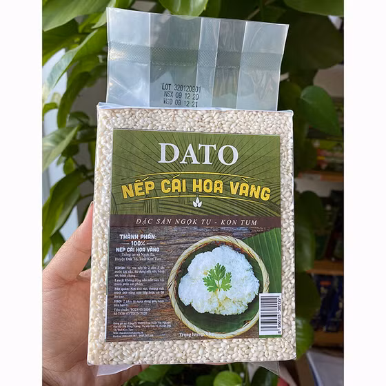Nếp cái hoa vàng DATO