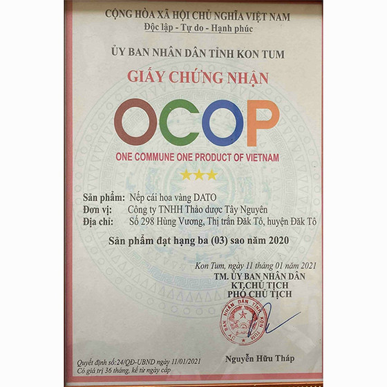 Nếp cái hoa vàng DATO