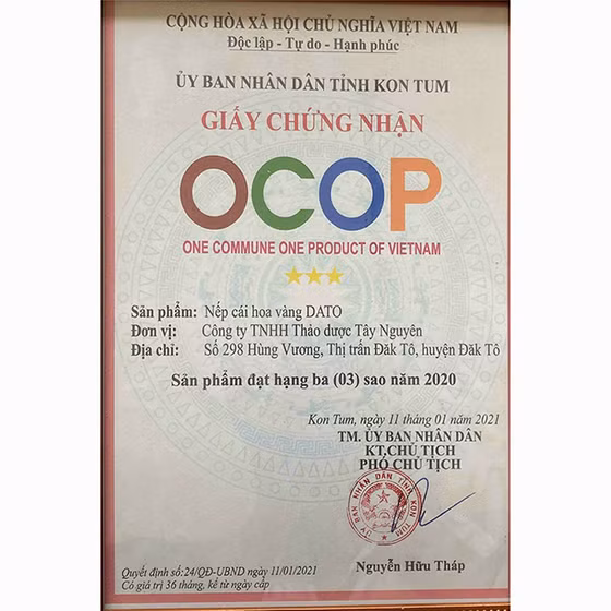 Nếp cái hoa vàng DATO