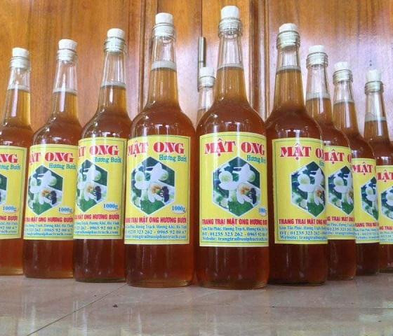 Mật ong hương bưởi