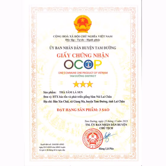 Trà sâm lá sen Lai Châu