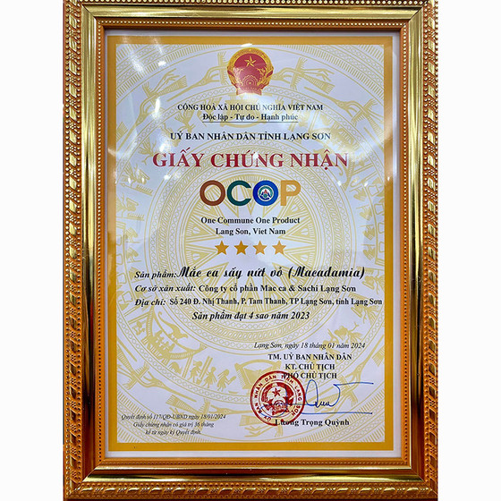 Macca sấy nứt vỏ lọ 