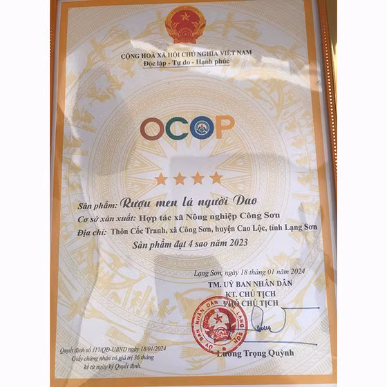 Rượu men lá người Dao Công Sơn