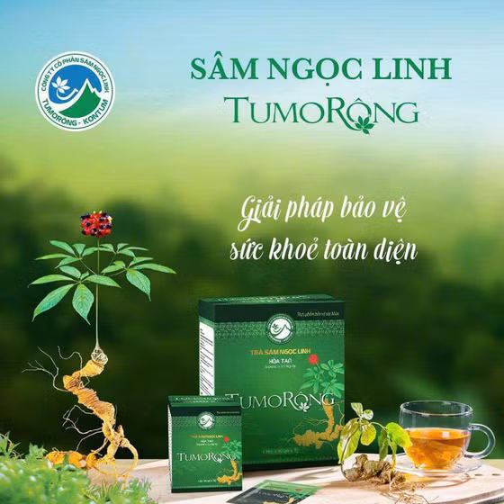 Trà sâm Ngọc Linh hòa tan