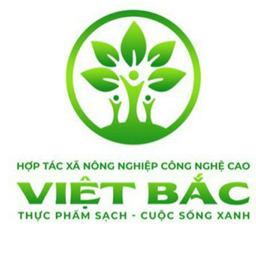 Chanh Việt Bắc