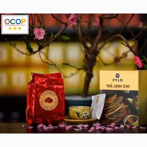 Trà linh chi PyLo