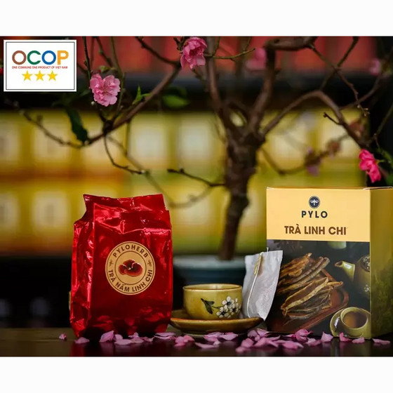 Trà linh chi PyLo