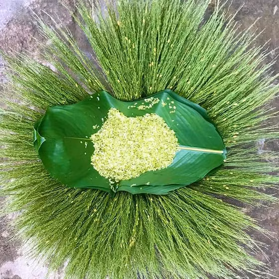 Cốm xanh Thượng Giáp