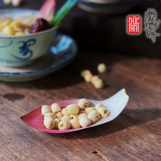 Hạt sen khô Phúc An Farm