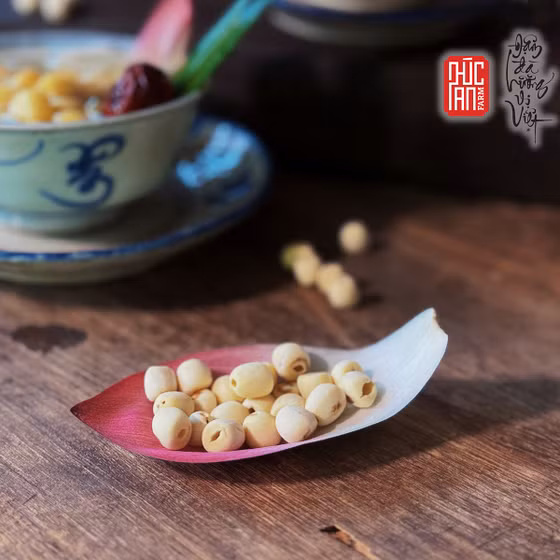 Hạt sen khô Phúc An Farm