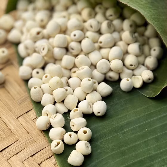 Hạt sen khô Phúc An Farm