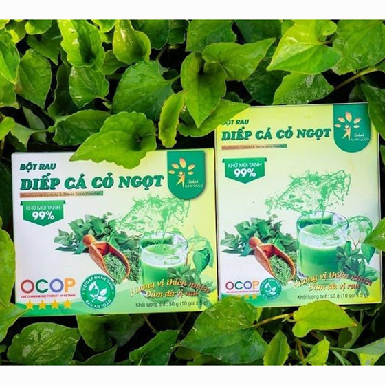 Bột diếp cá cỏ ngọt Dalat Ichifoods