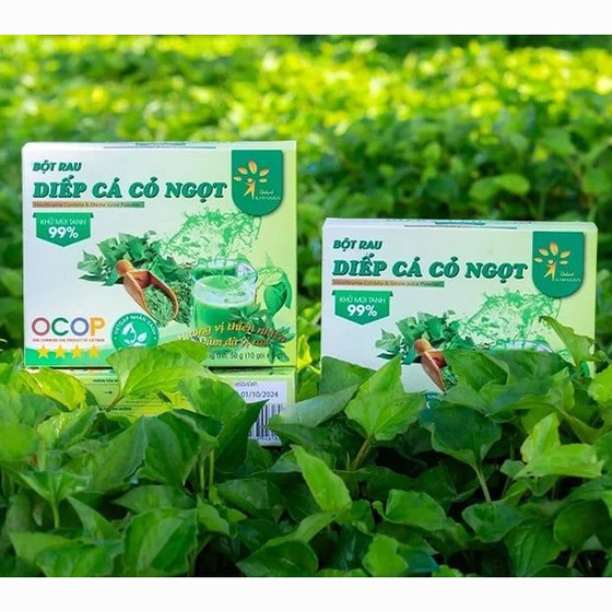 Bột diếp cá cỏ ngọt Dalat Ichifoods