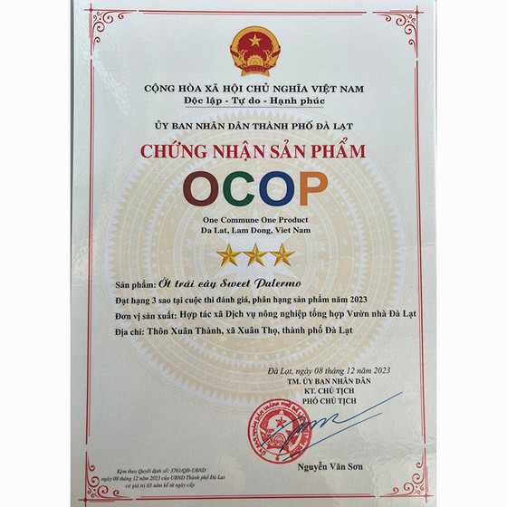 Ớt trái cây ngọt Sweet Palermo