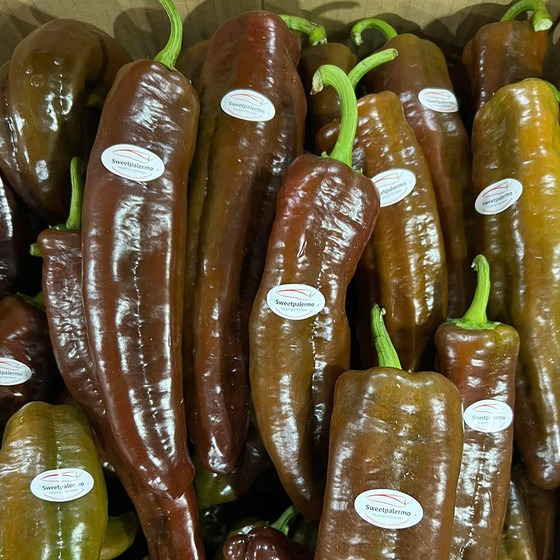 Ớt trái cây ngọt Sweet Palermo