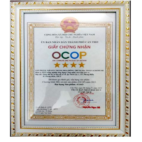 Sợi sấy thăng hoa đông trùng hạ thảo Agrimush