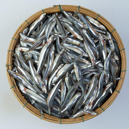 Nước mắm Sành-Ngọc Tích